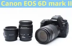 Item thumbnail for item 410fd416-6b77-488c-910c-c7448a11ddb9