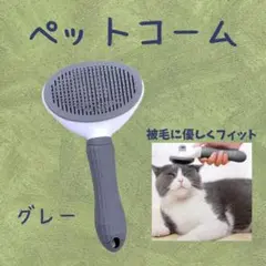 Item thumbnail for item ae74c579-c70c-498b-a8be-c2e5ec82d994