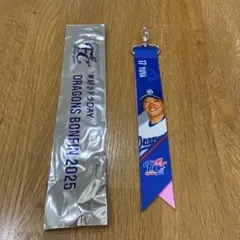 中日ドラゴンズ　FCボンフィンキーホルダー　背番号17