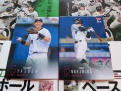 201 203/BBM 2024 1st 千葉ロッテ 2枚セット