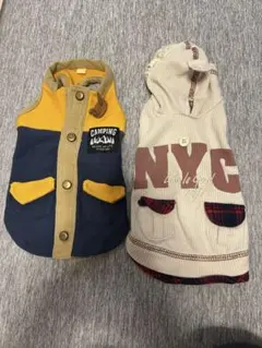 Item thumbnail for item 7026f546-2812-466b-8407-71ebee6b4140