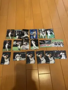 プロ野球 北海道日本ハムファイターズカルビー トレーディングカード 17枚セット
