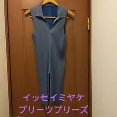イッセイミヤケ プリーツプリーズ グレー襟付きジャケット