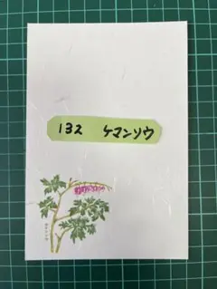 絵はがき　　各種絵はがき、見本　　10枚600円