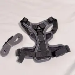 Item thumbnail for item 957f9b3c-d467-47ae-8f4b-1bf00753e072