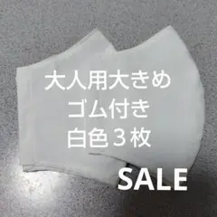 大人用大きめ布マスクセット