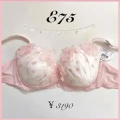 Item thumbnail for item 9989b3f1-947c-4c68-9836-f7a825087504
