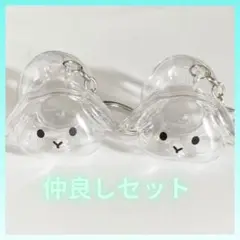 Item thumbnail for item 3dbe0d91-98c6-4e8b-9295-bed5a6a51196