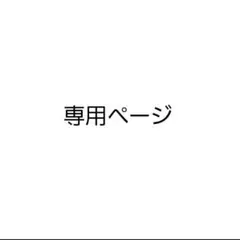 専用ページ