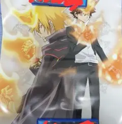 家庭教師ヒットマンREBORN ポスター 沢田綱吉(超ツナ) ボンゴレプリーモ