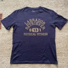 シップスカラーズ・Labrador Retriever TシャツLサイズ