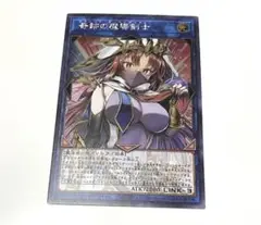 奇跡の魔導剣士 展示用・鑑賞用