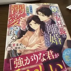 離婚とか愛とか(仮)
