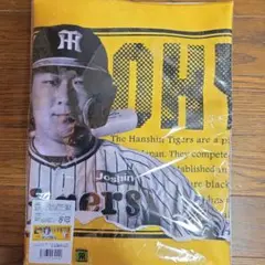 阪神タイガース大山悠輔