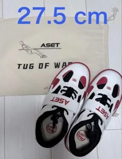 Item thumbnail for item 003f411f-df8d-4da6-9ebd-efb0b4f55a95