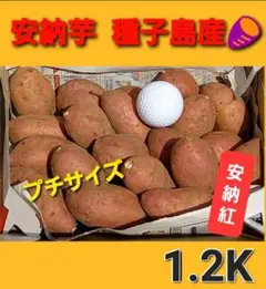 農家直送、種子島産、安納芋、紅、甘くてしっとり~完熟さつまいも