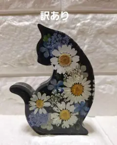 【訳あり】固まるハーバリウム ねこの中のお花畑