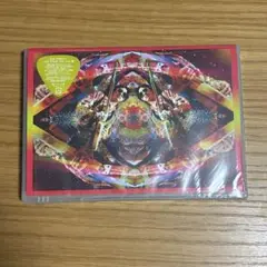 244 ENDLI-x LIVE TOUR '08 DVD 動作確認済み