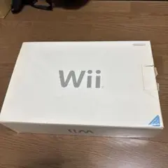 Nintendo wii 本体　付属品完備