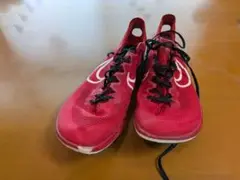 Nike ドラゴンフライ　26.0cm