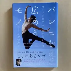 ●専用● ヤマカイ　The Ballet Show 　DVD＋パンフレットセット うのにもお得な ヤマカイ/The Ballet メルカリ - Show