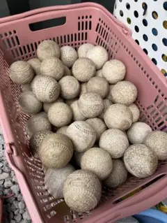 軟式ボール　35球セット　バッティング練習用　【お買い得】