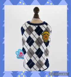 Item thumbnail for item c609ee76-7e2f-4056-b6cb-4e8cec89e0e2