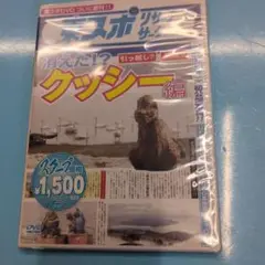 未使用・未開封品 東スポリサーチサークル クッシー編 [DVD]