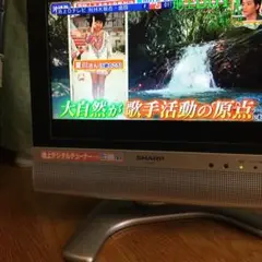 SHARP AQUOS LC-13SX7