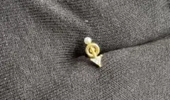 Item thumbnail for item 531b24ae-35ed-4ea5-8a0e-bcbfcf01a1b8