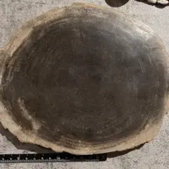 あ〜きゃん様確認用