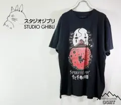 US古着 Tシャツ ジブリ 千と千尋の神隠し 遠藤さくら 乃木坂 XL ③
