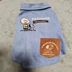 Item thumbnail for item 91b2672c-d537-4942-b54c-e7f4b098d13e