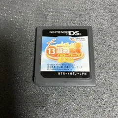 DS 13歳のハローワーク