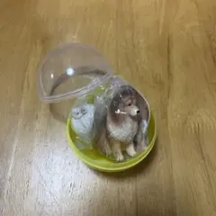 アヒルと犬 シェットランドシープドック