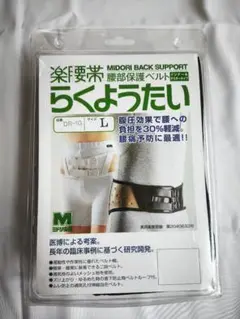 Item thumbnail for item d59ab05c-40fb-47a4-b201-d2eb21dc7c1a