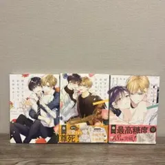 好きにさせてみせるから！ 全3巻セット
