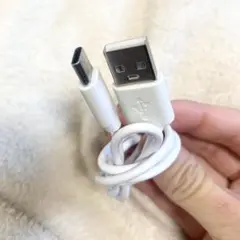 iPhone Type-c ケーブル USB＋タイプC ホワイト白 30cm