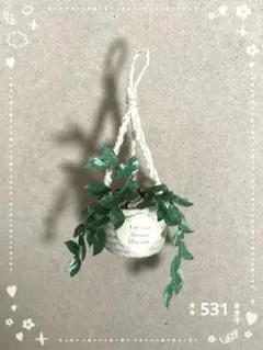 ミニチュア　ハンドメイド ドライフラワー　ꕤ観葉植物ꕤ 　＊531