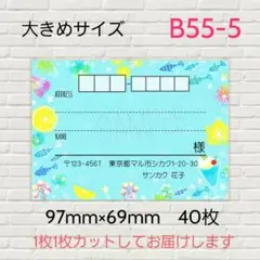 B55-5　宛名シール　大きめサイズ　40枚