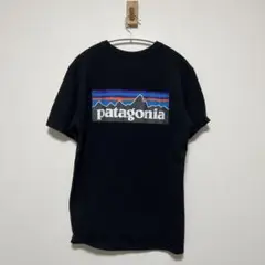 patagonia ブラック Tシャツ バックプリント