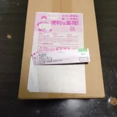 ポケモンカード スペシャルBOX ポケモンセンター トウホク 新品未開封