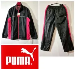 Item thumbnail for item 511d48e7-3ccd-4a5a-971e-b5ab2f1dbe38