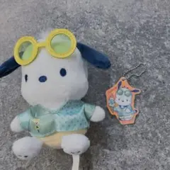 サンリオ　ナイトプール Happyくじ ぬいぐるみチャーム　ポチャッコ　アクキー