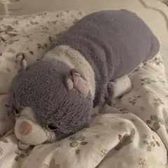 抱き枕