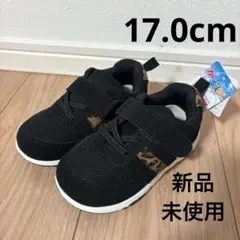 Item thumbnail for item db722fca-ad8d-457f-b7ab-2fa0c596908f