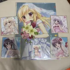 サガプラサマーフェス2025ミニ色紙　チェキ風カード クリアポスター
