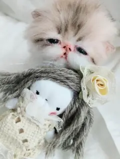 生後10日♡うるうるオメメの子猫ちゃん♡アートドール♡ぬいぐるみ♡