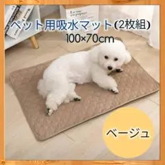 Item thumbnail for item 30101c68-e1c2-43bb-a6f7-0fe99c0521b0