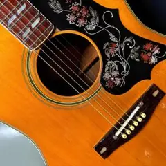 YAMAHA FG401W アコースティックギター　ヤマハ YAMAHA FG-401W|ドルフィンギターズ